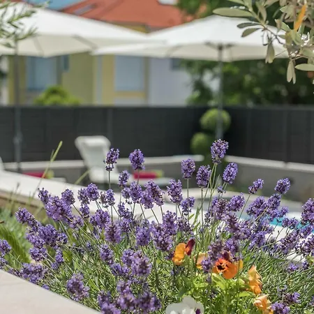Apartment Franica Zadar